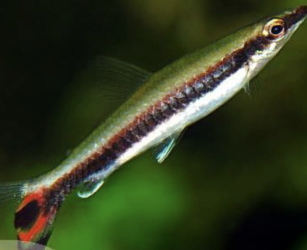 Screenshot 2025-09-08 at 12.30.16 PM.png