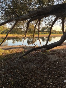 IMG_0318.jpeg