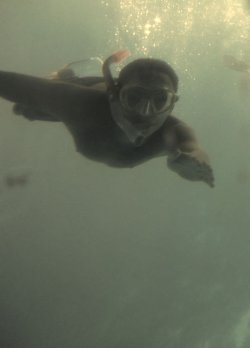 IMG_8231.jpg IMG_8231.jpg