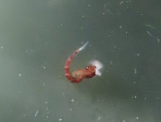 IMG_6766.JPG