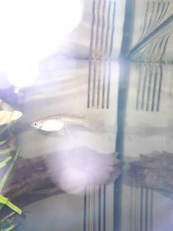 20210521_130116.jpg