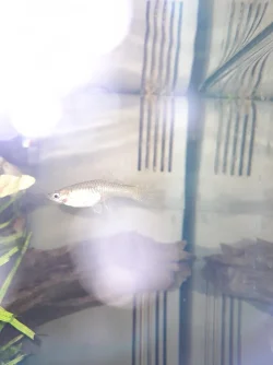 20210521_130116.webp