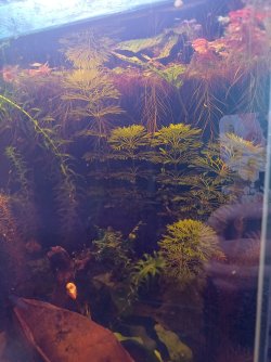 20251005_104456.jpg