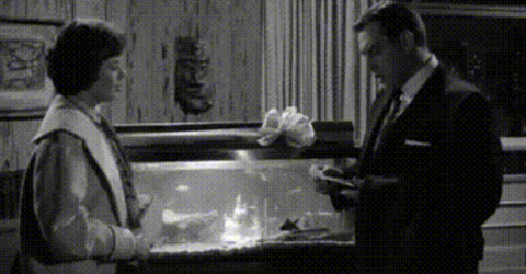 Screenshot 2025-10-09 at 2.22.25 PM.png