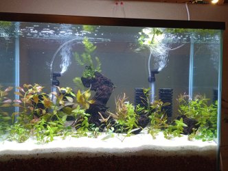 10-23-2025, Day 1, picture 1.jpg