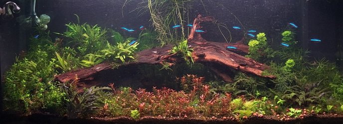 20251106_191446 (3).jpg