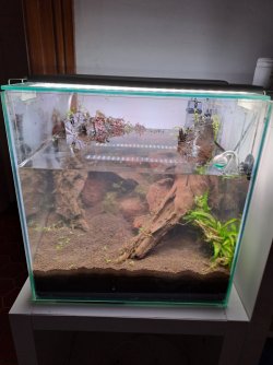 20250127_215458 (1).jpg