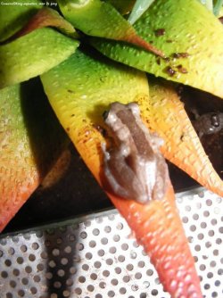 464626235_8812824512143991_1941369380694003641_n.jpg 464626235_8812824512143991_1941369380694003641_n.jpg