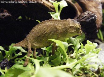 464435347_8812858412140601_8315727504076120147_n.jpg 464435347_8812858412140601_8315727504076120147_n.jpg