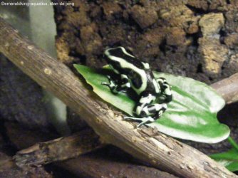 464652276_8812848502141592_645647587942182442_n.jpg 464652276_8812848502141592_645647587942182442_n.jpg