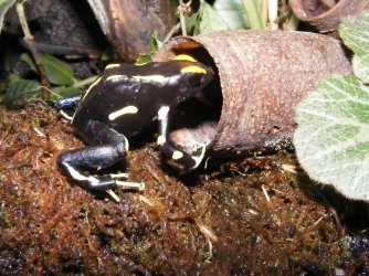 464522768_8812883328804776_6943878525189604790_n.jpg 464522768_8812883328804776_6943878525189604790_n.jpg