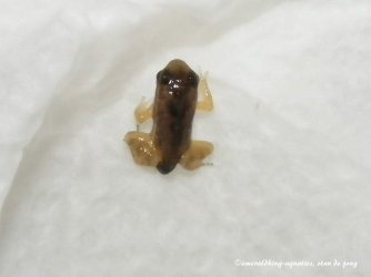 464512348_8812827365477039_8145922132321998033_n.jpg 464512348_8812827365477039_8145922132321998033_n.jpg