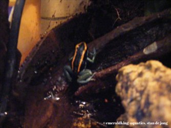 464564938_8812825298810579_4026478966905200261_n.jpg 464564938_8812825298810579_4026478966905200261_n.jpg