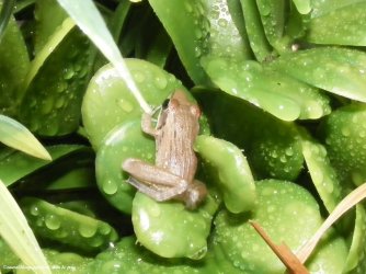 464640611_8812823138810795_3025571601935950385_n.jpg 464640611_8812823138810795_3025571601935950385_n.jpg