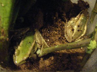 472332671_10163403769121874_1293432353864544305_n.jpg 472332671_10163403769121874_1293432353864544305_n.jpg