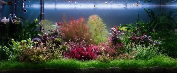 IMG_0050.jpg IMG_0050.jpg