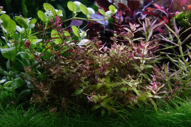 IMG_0052.jpg IMG_0052.jpg