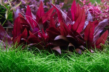 IMG_0058.jpg IMG_0058.jpg