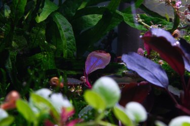 IMG_0063.jpg IMG_0063.jpg