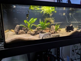 40gal24Nov25.jpg