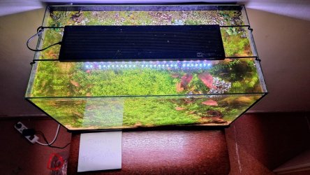 20251126_201808 (1) (1).jpg