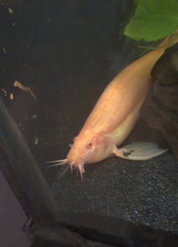 20251128_153907.jpg 20251128_153907.jpg