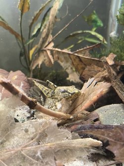 IMG_3423.jpg IMG_3423.jpg