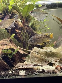 IMG_3460.jpg IMG_3460.jpg