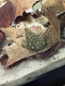 IMG_3468.jpg IMG_3468.jpg