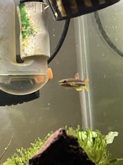 IMG_3464.jpg IMG_3464.jpg