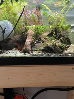 IMG_3463.jpg IMG_3463.jpg