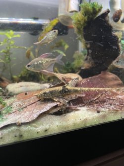 IMG_3221.jpg IMG_3221.jpg