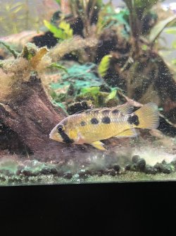 IMG_3225.jpg IMG_3225.jpg