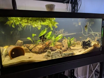 ramtank30Dec25.webp