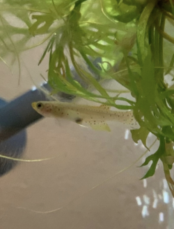 スクリーンショット 2026-01-03 23.16.07.png