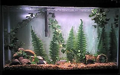 Tank_16.webp