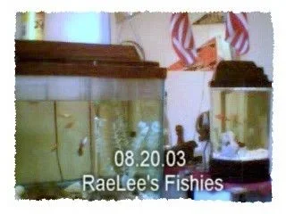 08.20.03_RaeLee_s_Fishies.webp
