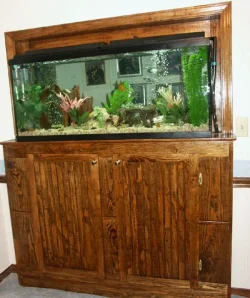 myfishtank.webp