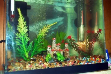 Fry_Tank_2.webp