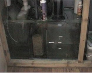 reef1_056.jpg