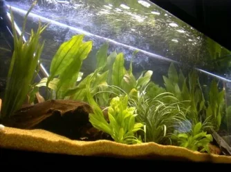 New_Tank.webp