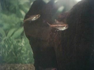 Image006.jpg