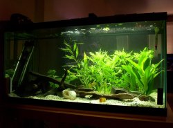 50_plant_2.JPG