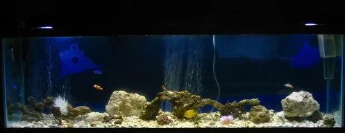 oct_6.webp