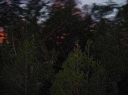 spooky.jpg