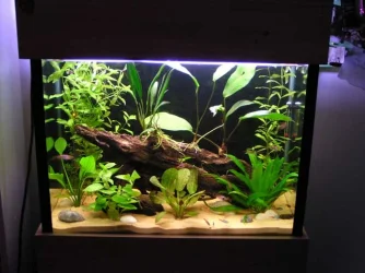 tank_1_web.webp