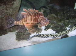 california_trip_015.jpg