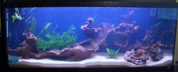 tank_001.jpg