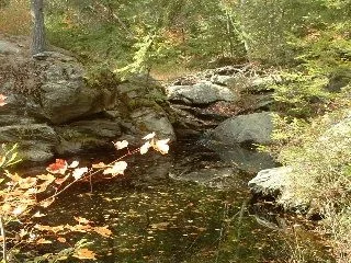 Silent_Waters.webp