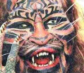 Catman1.webp